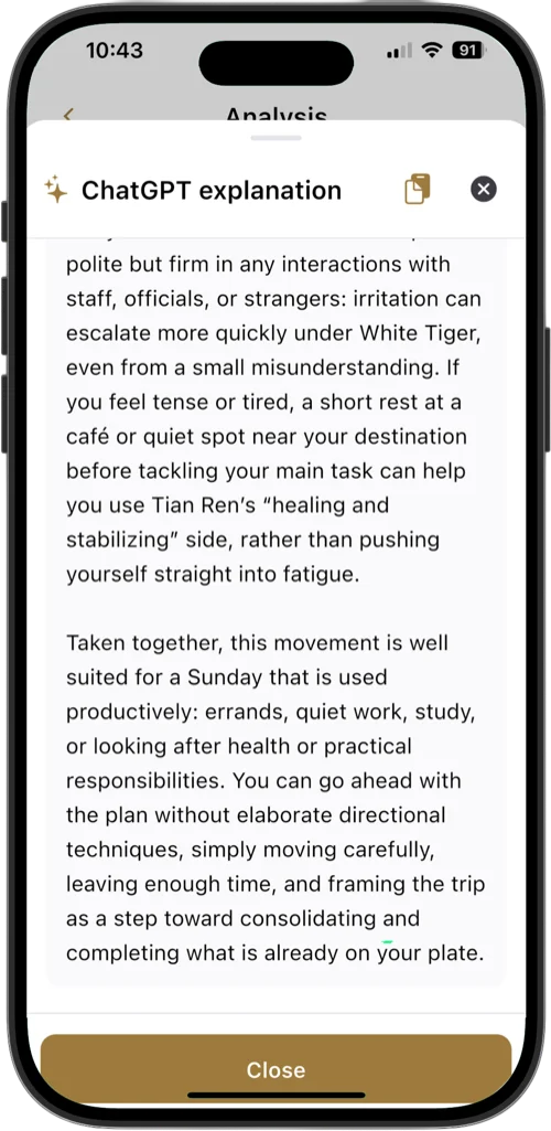 AI Interpretation Screen